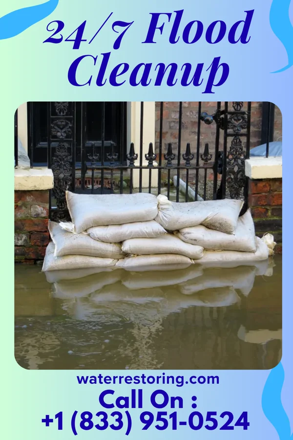 24/7 Flood Cleanup in Sedalia, NC