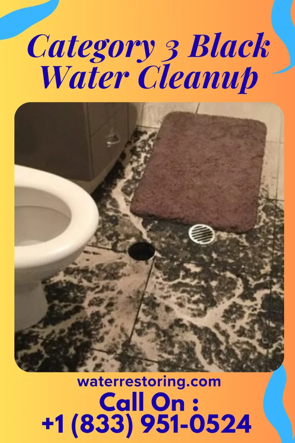 Category 3 Black Water Cleanup in Sedalia, NC