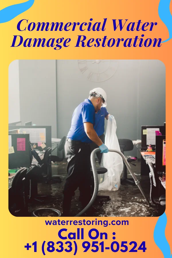 Commercial Water Damage Restoration in Sedalia, NC